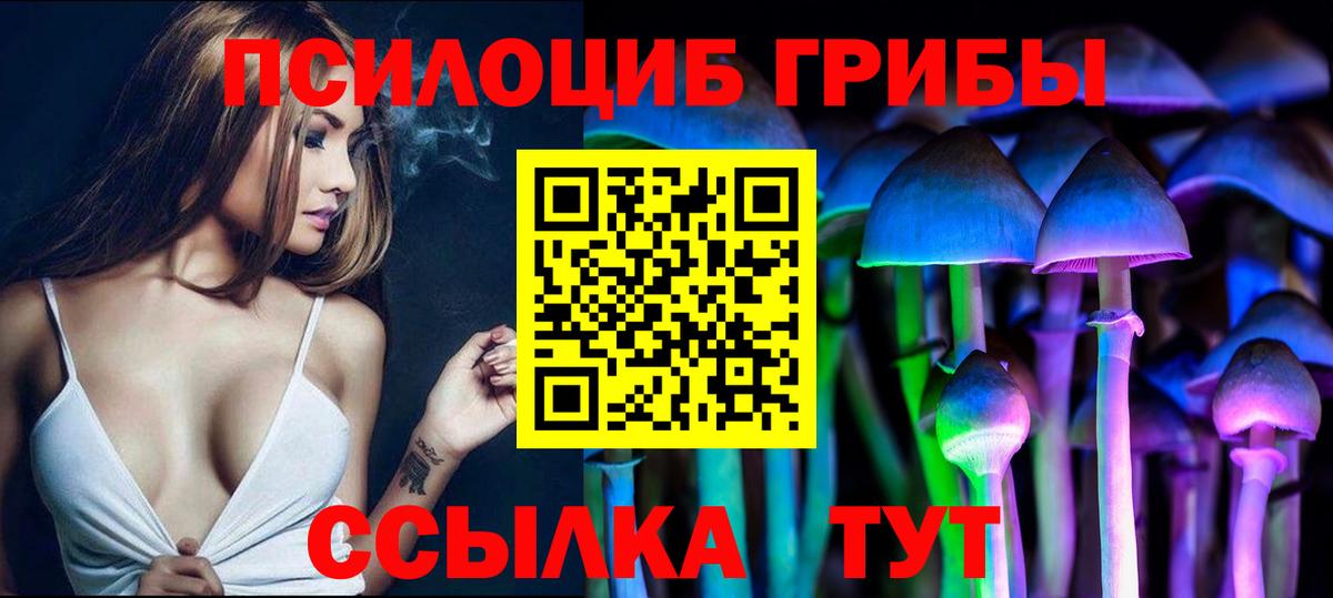 Галлюциногенные грибы GOLDEN TEACHER  Вход с VPN  купить наркотики цена  Протвино 